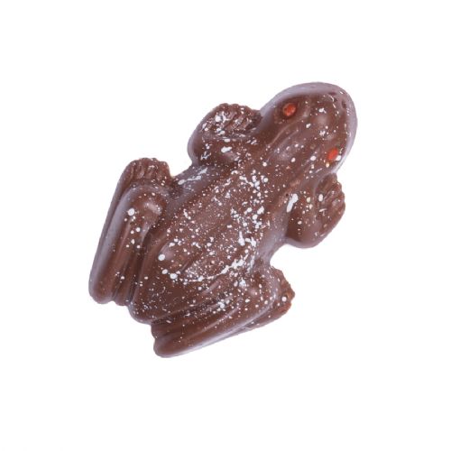 Milk Chocolate Frogs x 2